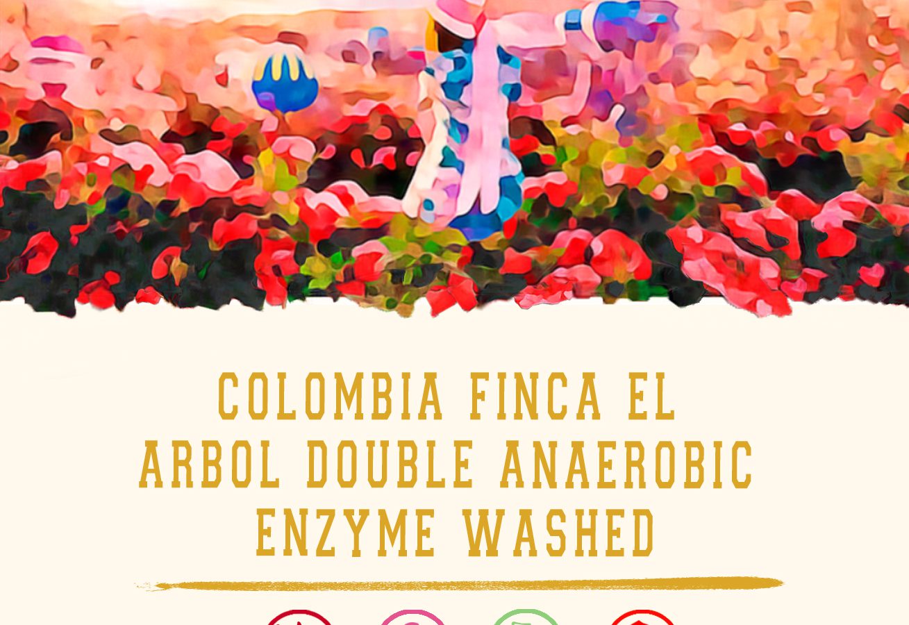 Cokain Colombia Finca El Arbol Double Anaerobic Enzyme Washed (coffee beans/drip bag/cold brew bag)