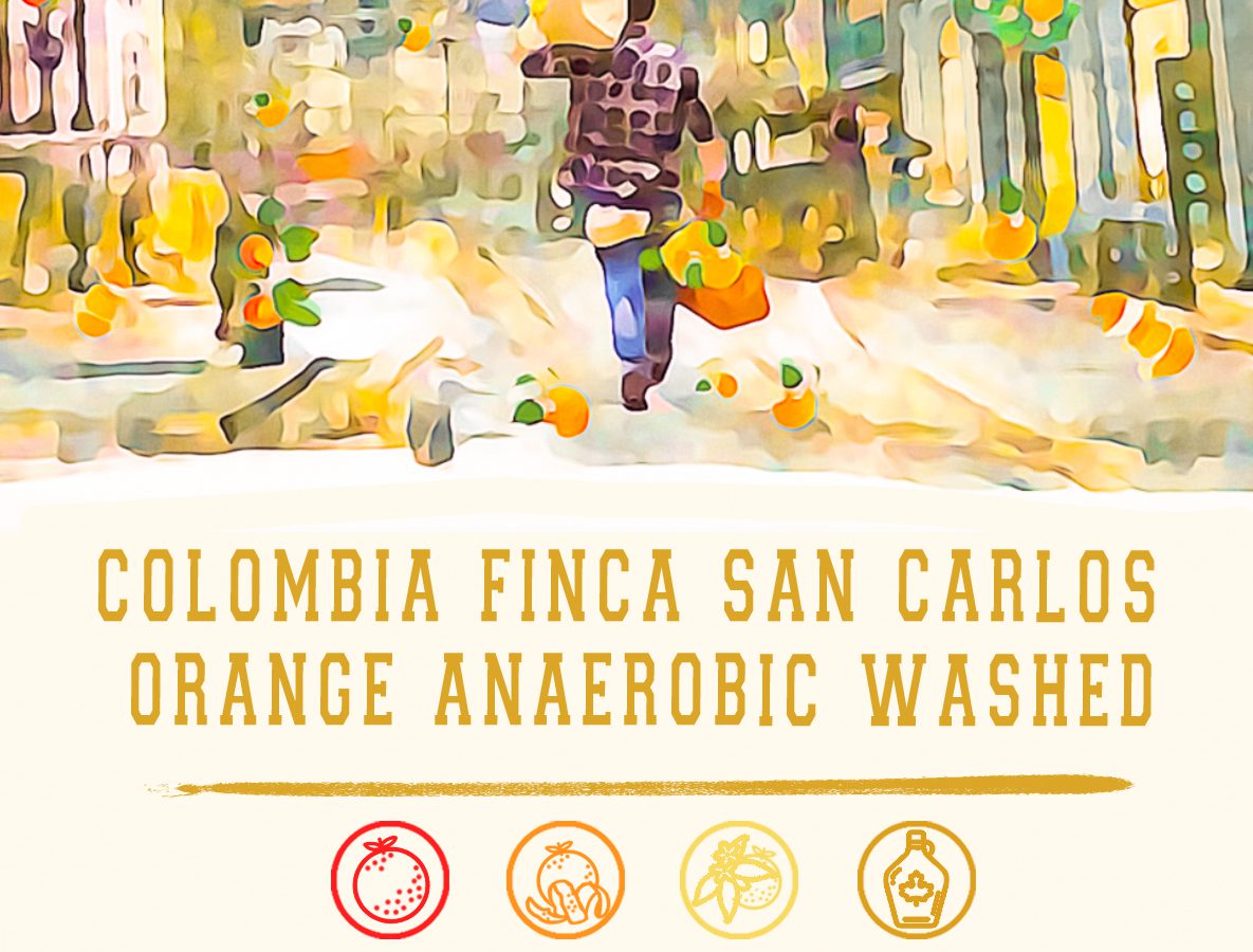 Cokain client – Colombia Finca San Carlos Orange Anaerobic Washed (coffee beans/drip bags/cold brew bags)