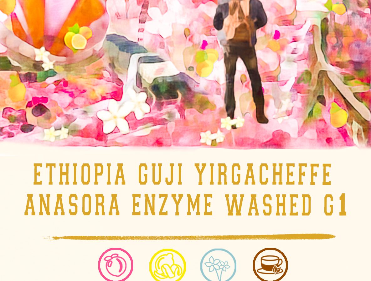 Cokain Peach – Ethiopia Guji ANA SORA Enzyme Washed G1(coffee beans/drip bags/cold brew bags)