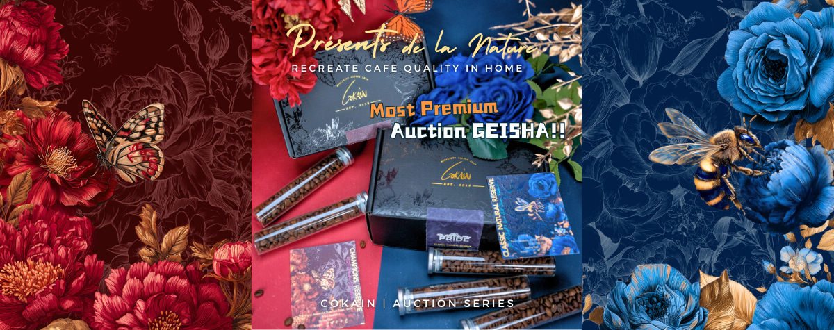 Top-tier Gesha auction beans 😍 Limited to just 40 sets‼️