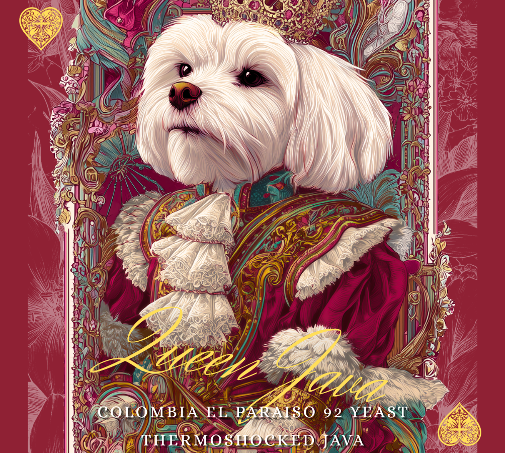 Cokain- Queen Java 哥倫比亞天堂92莊園熱衝擊JAVA