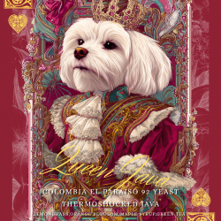 Cokain- Queen Java 哥倫比亞天堂92莊園熱衝擊JAVA