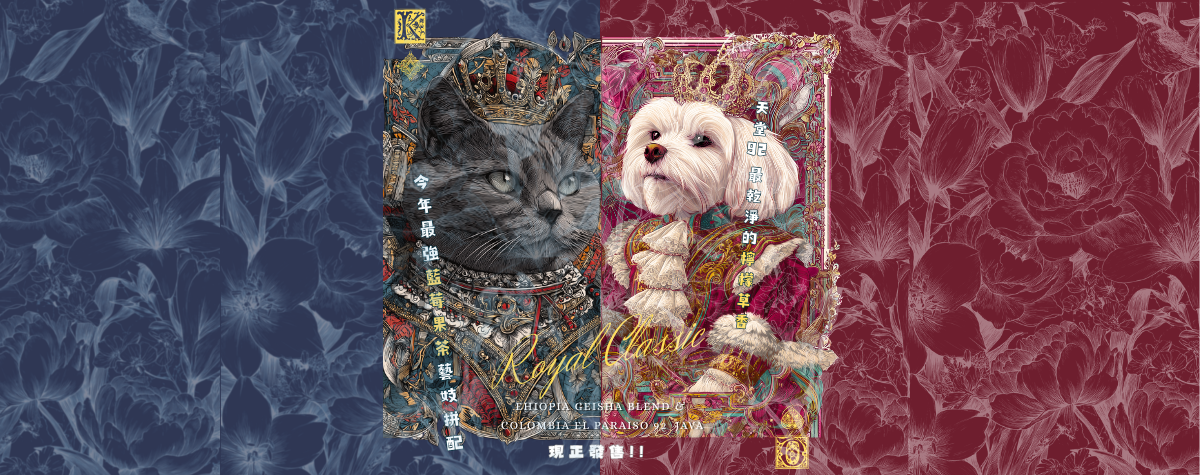 全新Royal Classic咖啡豆，清爽而高貴的果茶香味🫐😋