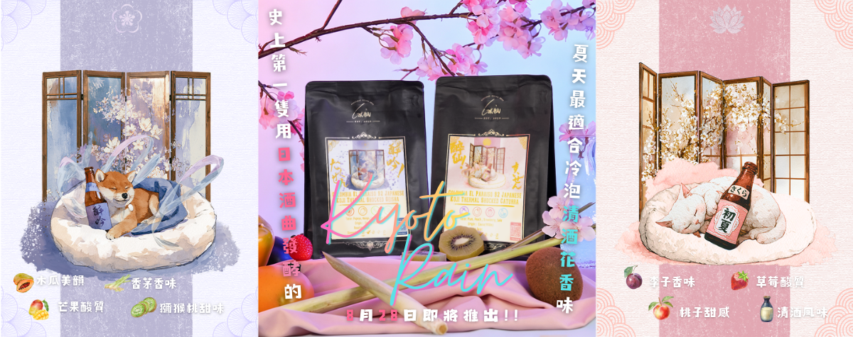 史上第一只酒曲熱衝擊發酵處理嘅清酒風味的咖啡？最適合夏天清酒花香味！ 🌺