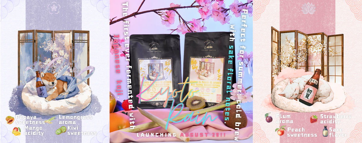 The first ever jiuqu thermal-shock fermented sake-flavor coffee? Perfect for summer with sake floral notes! 🌺